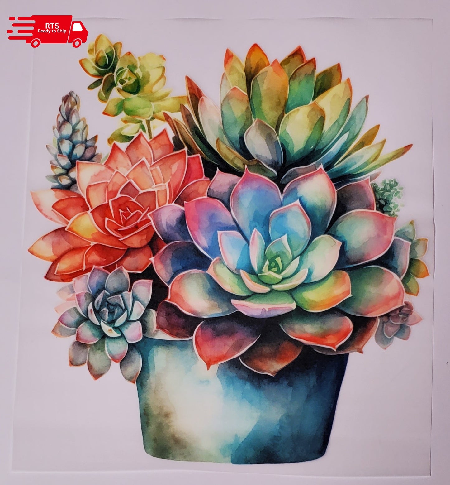 RTS - Succulents in Pot Watercolor DTF Transfer